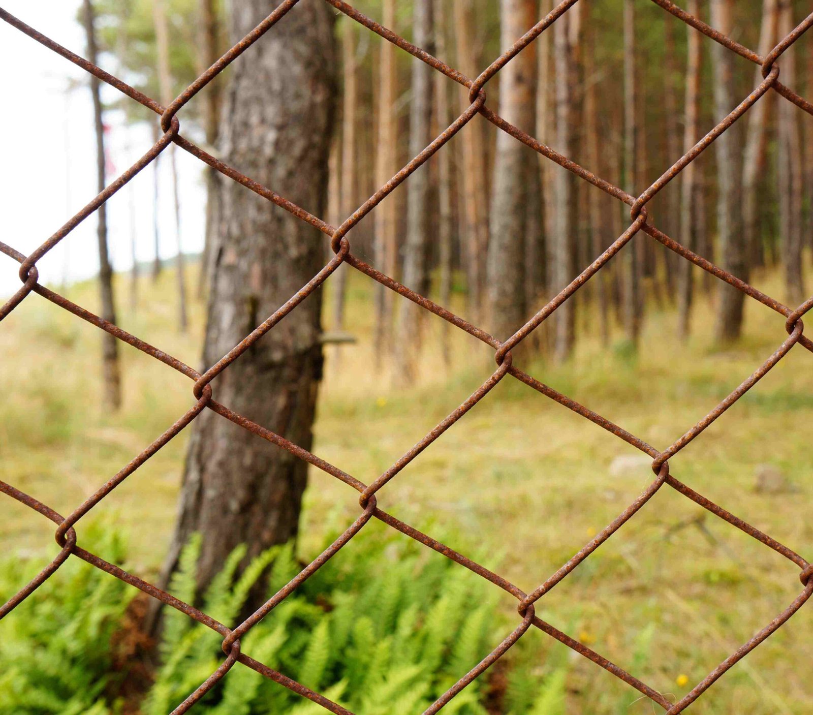 Custom-built deer exclusion fencing system designed for uneven terrain and hillside yards.