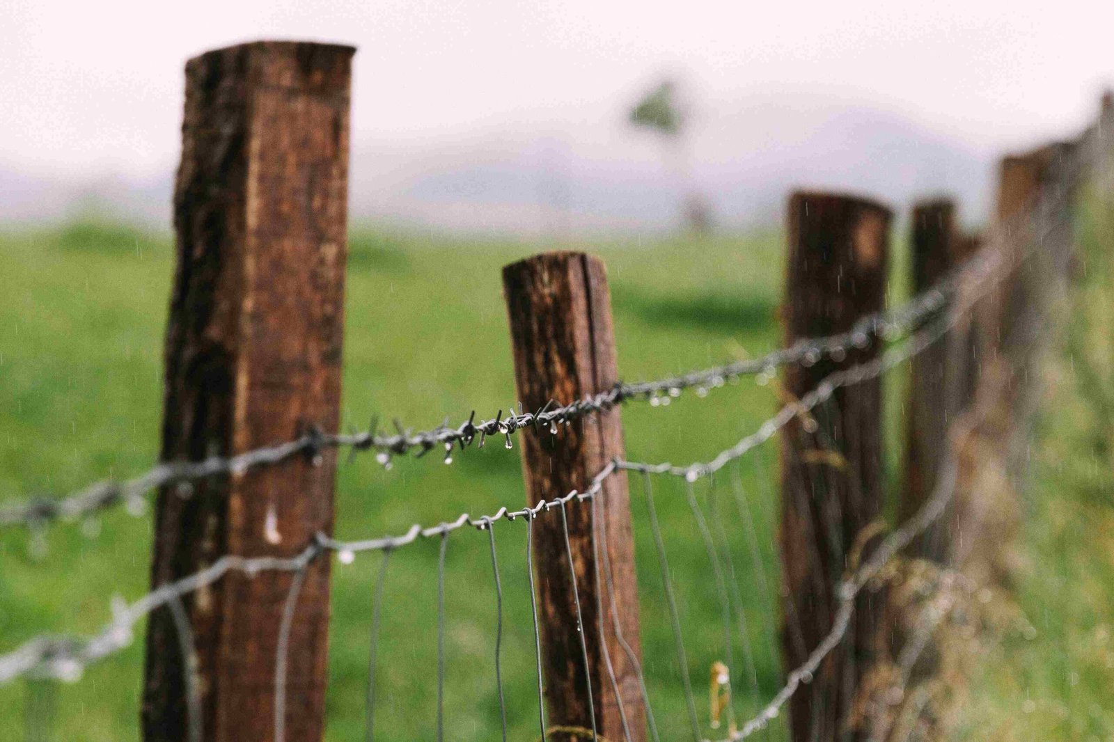 Rustic post and rail deer fencing with black wire mesh backing for a farm-style look.