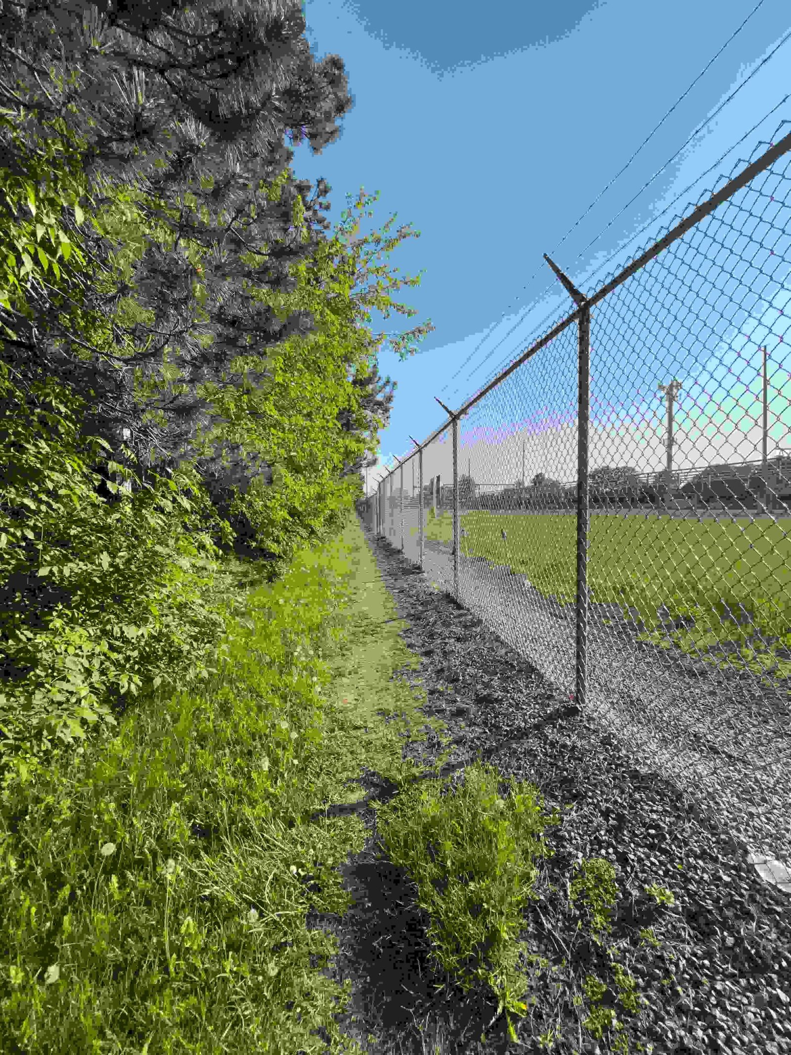 Deer Fencing in bergen county nj